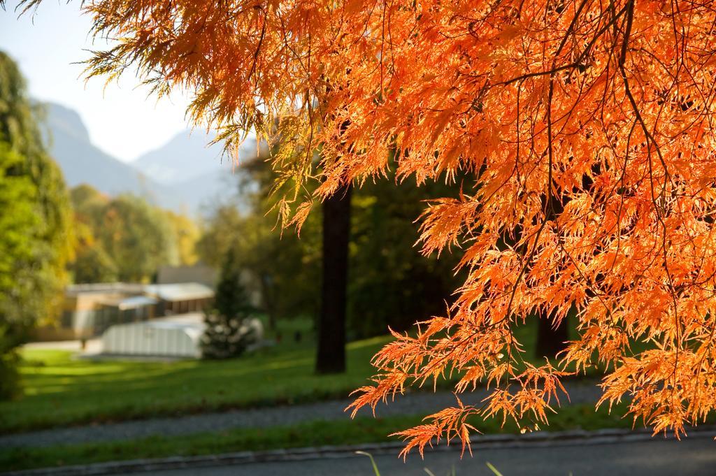 Hotel Schloss Ragaz Bad Ragaz Exterior foto